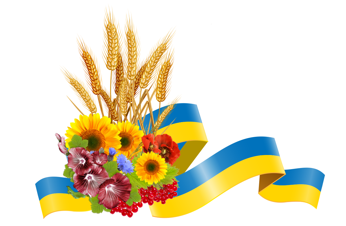 vitaemorektora